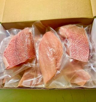 Egg and Ceramic Rabbit